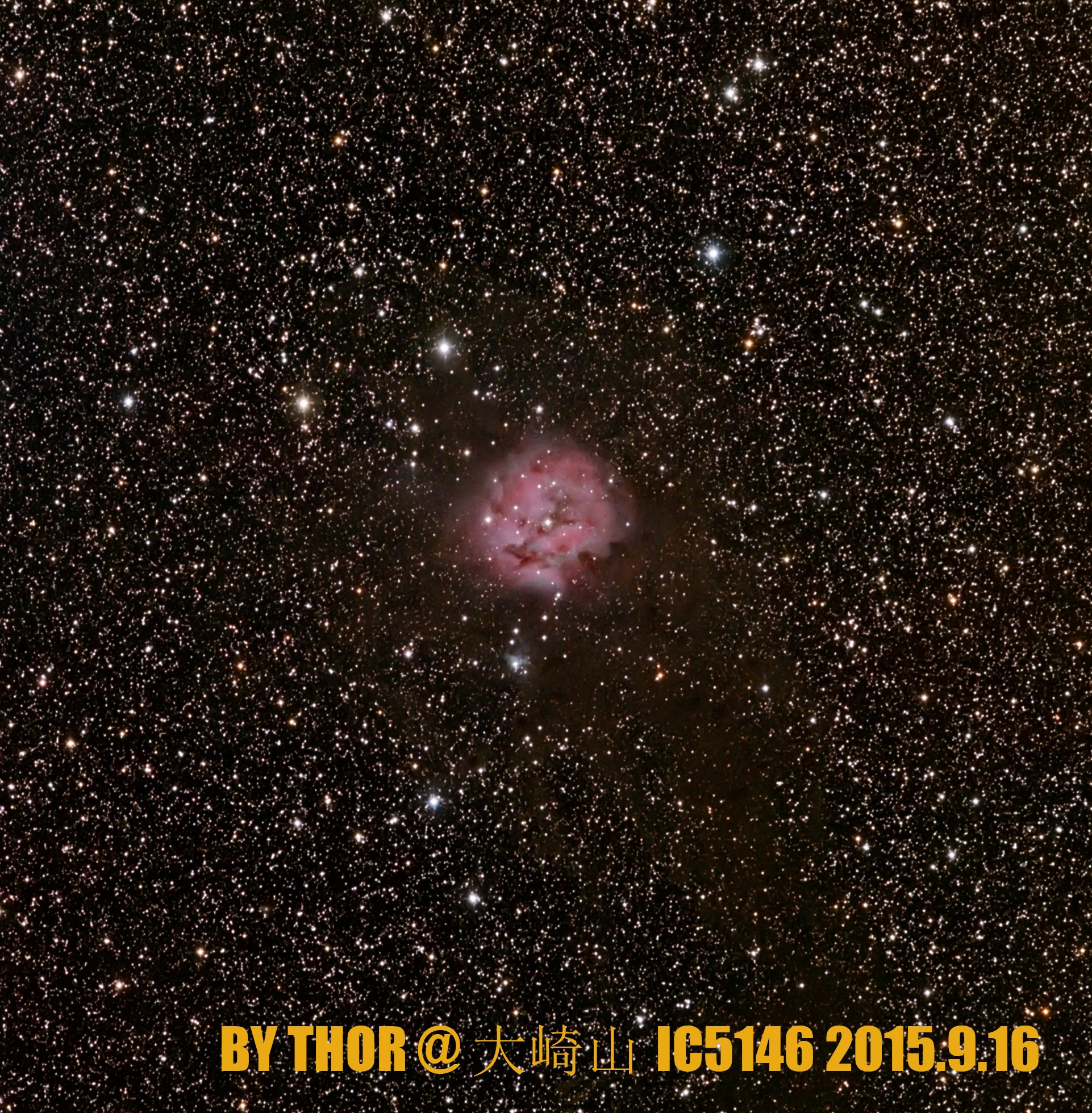 IC5146A.jpg