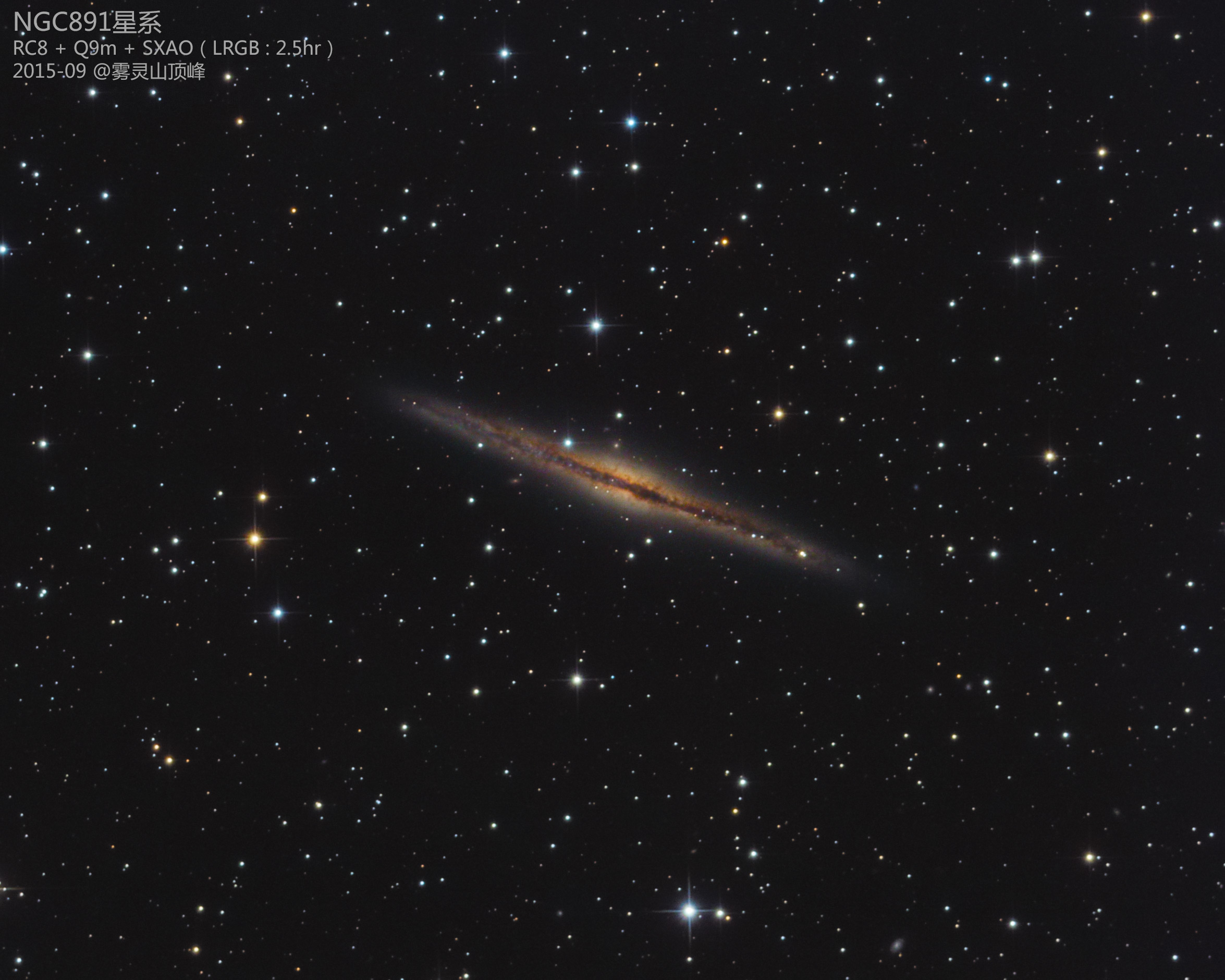 NGC891-RC8-Q9m-SXAO-LRGB2.5Hr-100.jpg