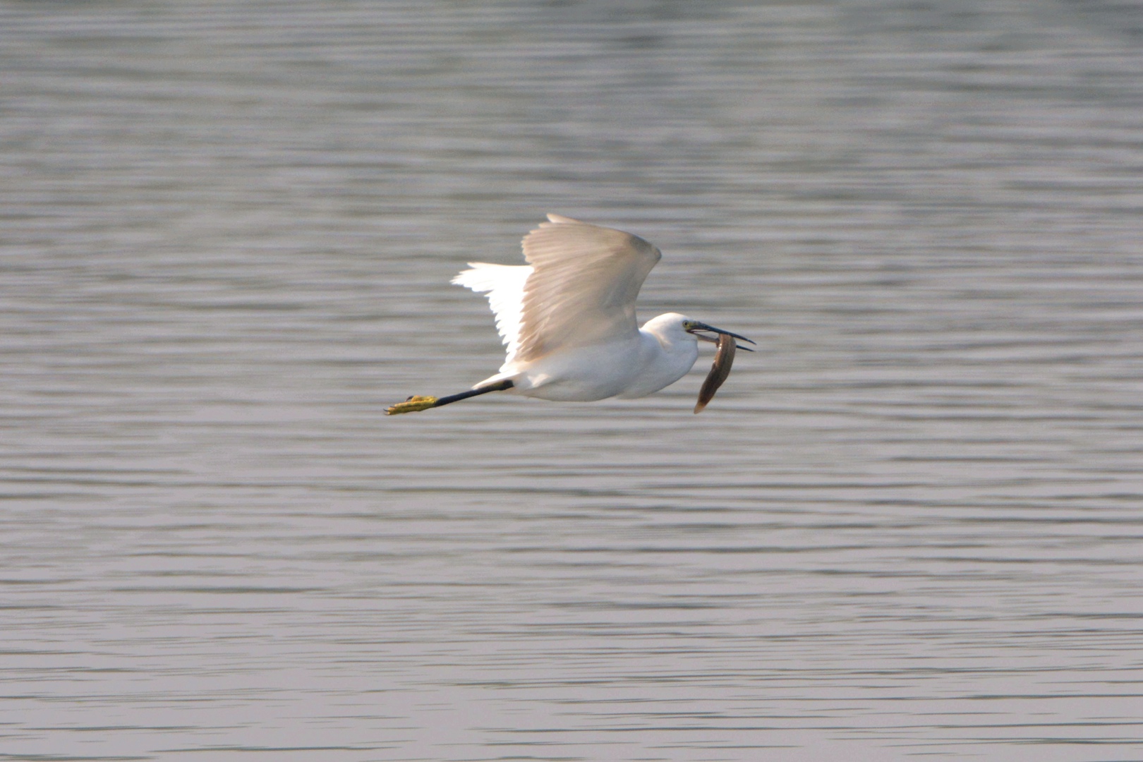 沙河水库2015-09-27 DSC_1327_副本.jpg