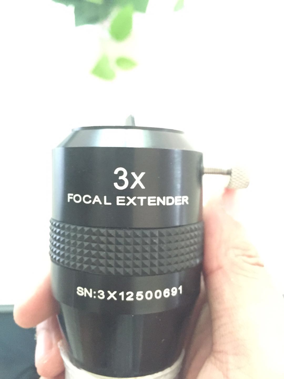 1931384387.jpg