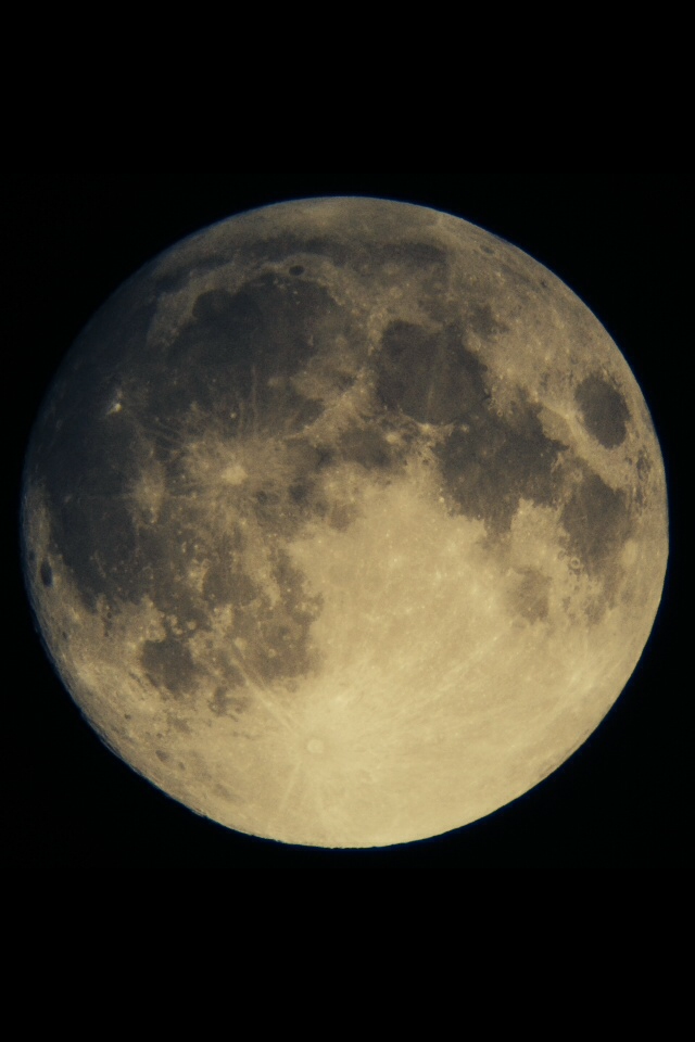 EBEF595D-17D1-4D53-AA47-84DD040DE798.PNG