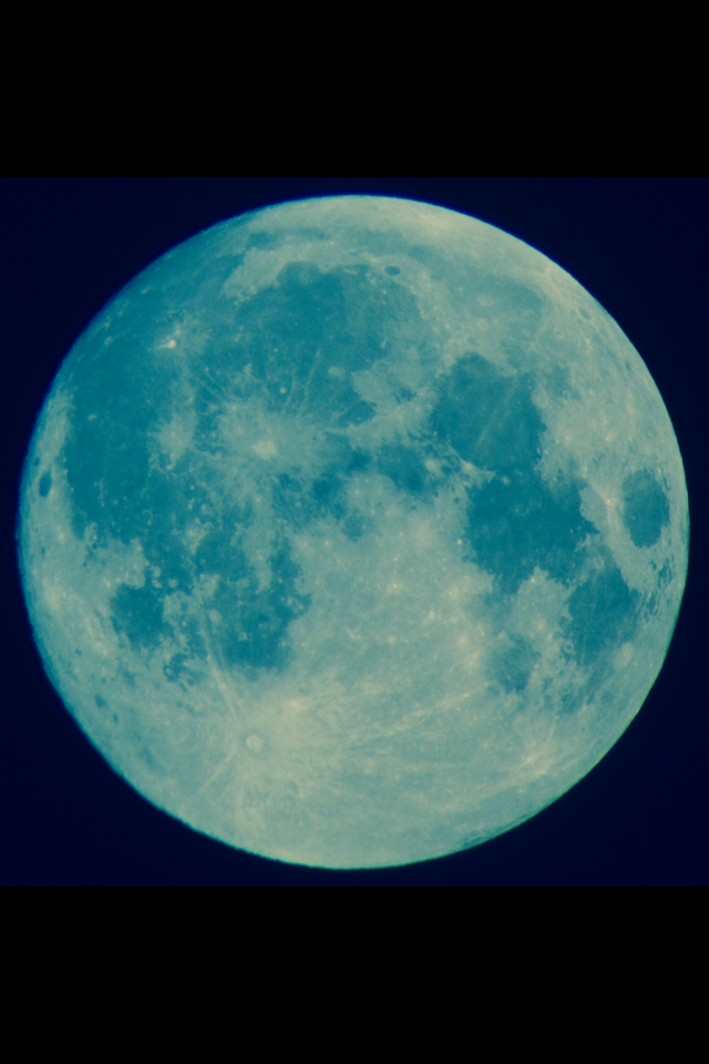 796AEA79-3773-4235-A2F1-7AD65A3610C6.PNG