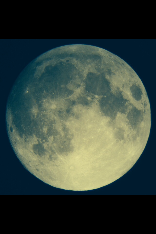 F6B5583D-D4C4-4CC3-B060-BAB4CAF6A88F.PNG