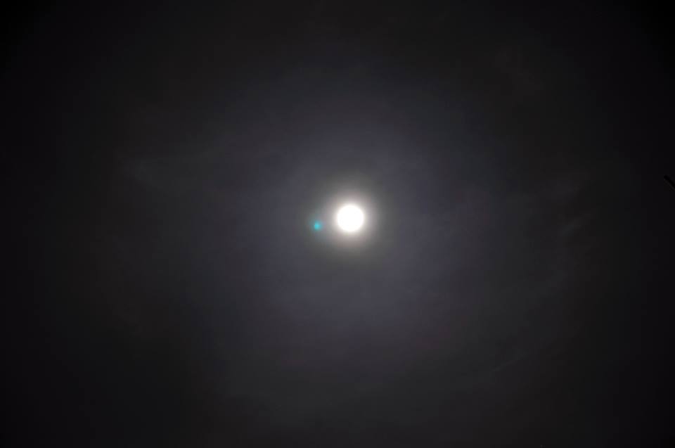 11215138_907690299313631_979434256611752299_n.jpg