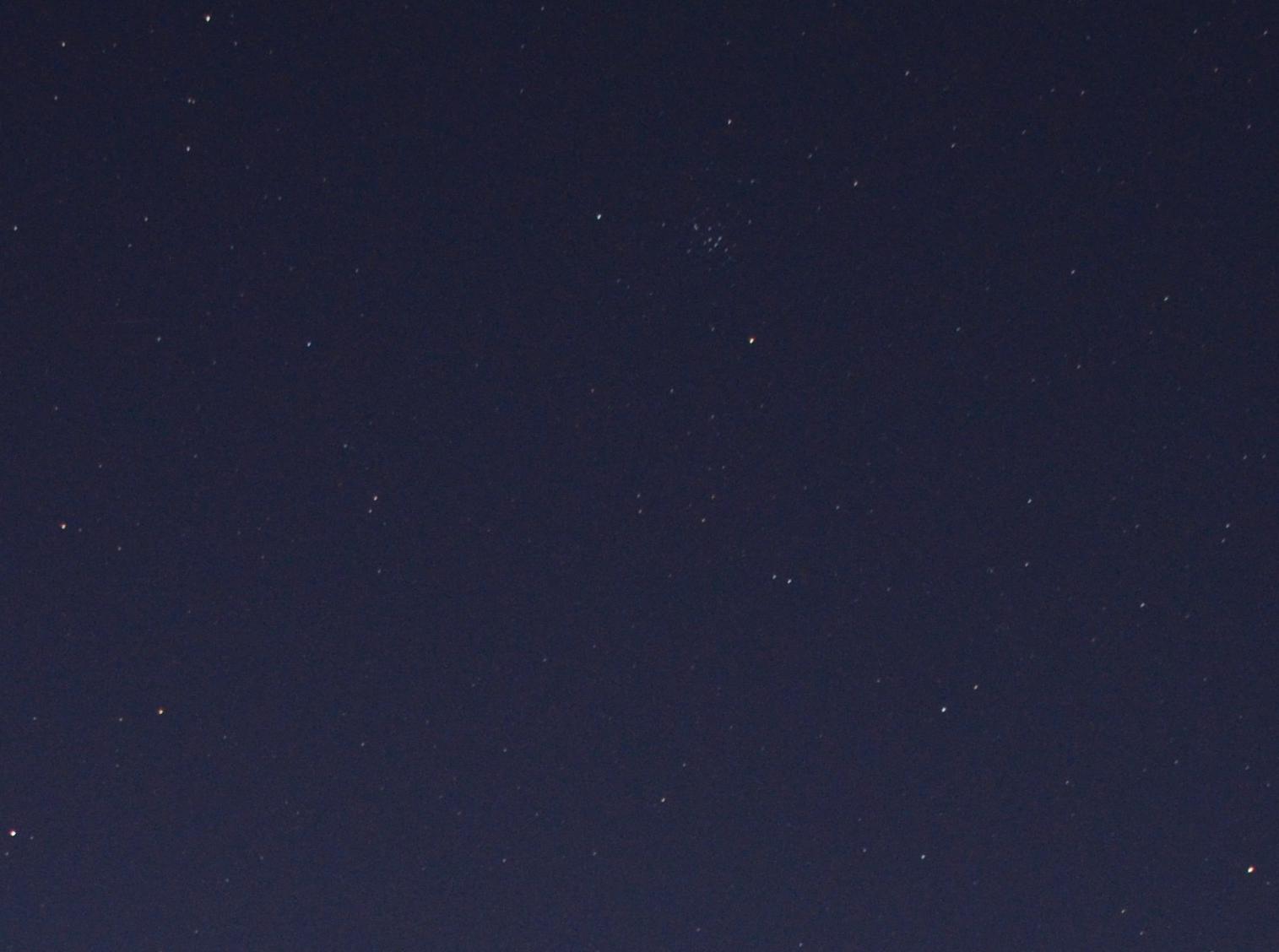 DSC_2536_副本_副本.jpg