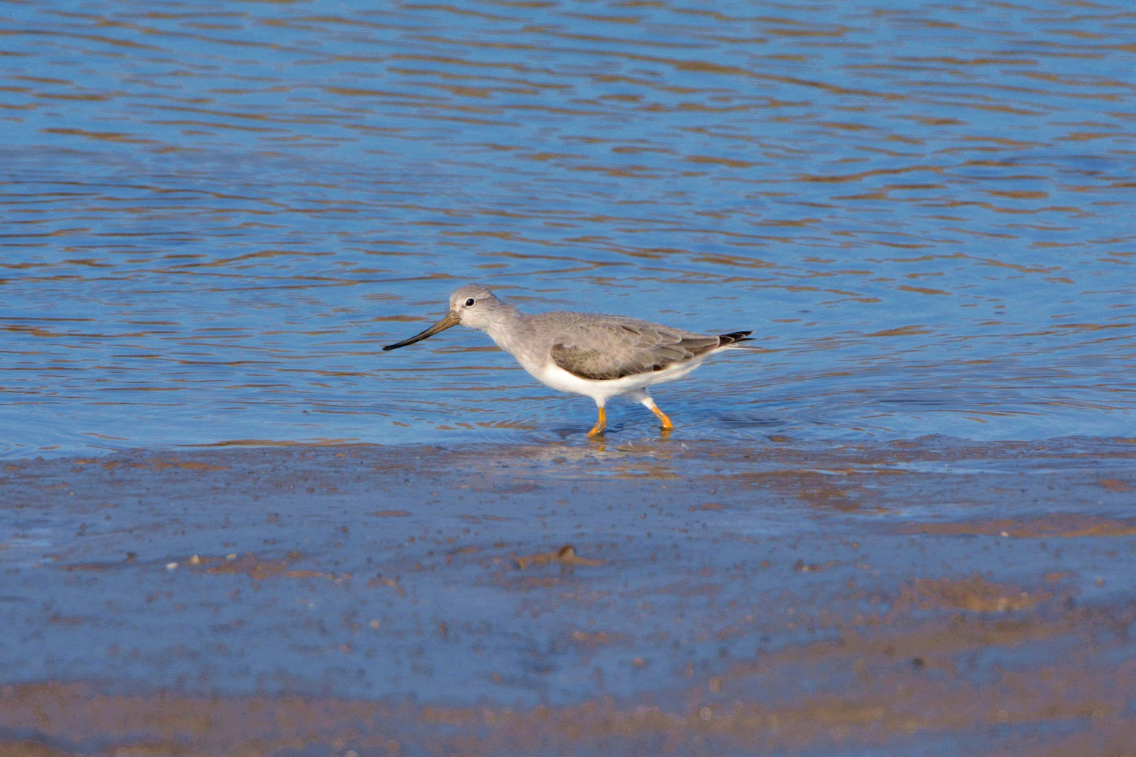 曹妃甸_2015-10-02 DSC_1864_副本.jpg