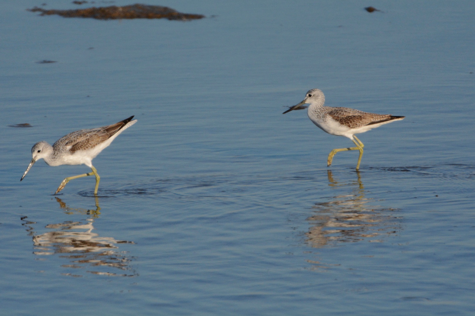 曹妃甸_2015-10-02 DSC_2060_副本.jpg