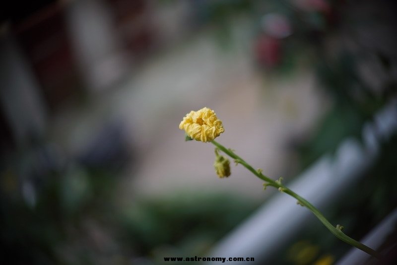 121457jw9ighqiks9rl9rt.jpg.thumb.jpg