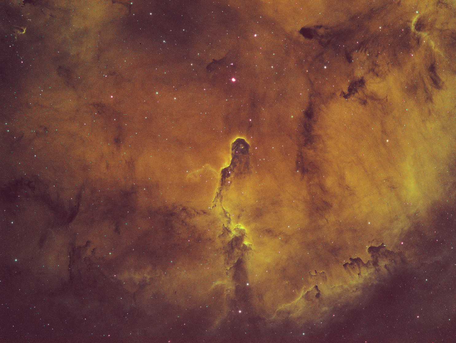 ic1396 sho.jpg