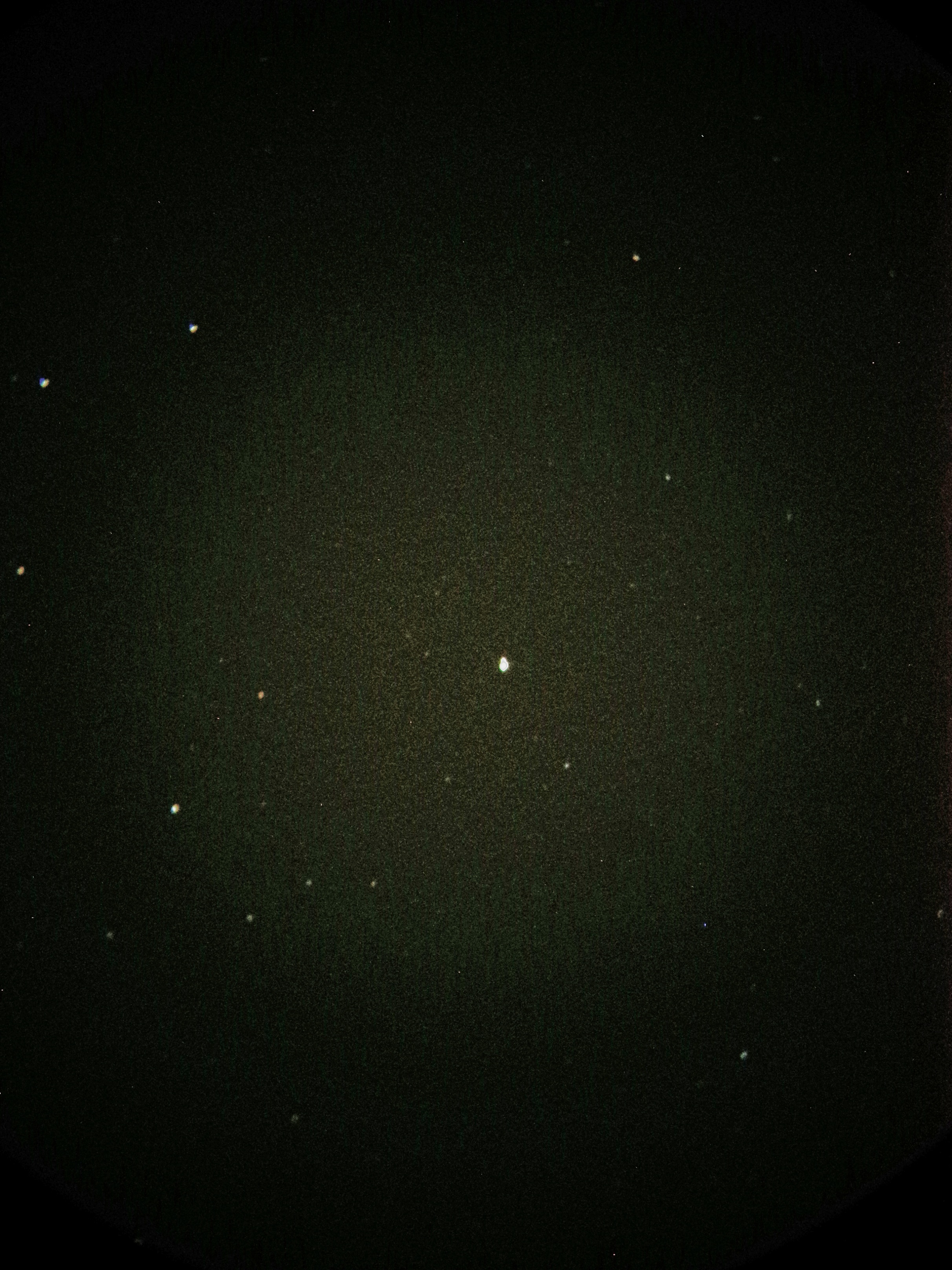 P51016-201718.jpg