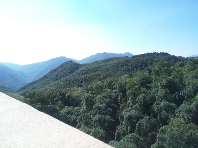 IMG_20151017_095000.jpg