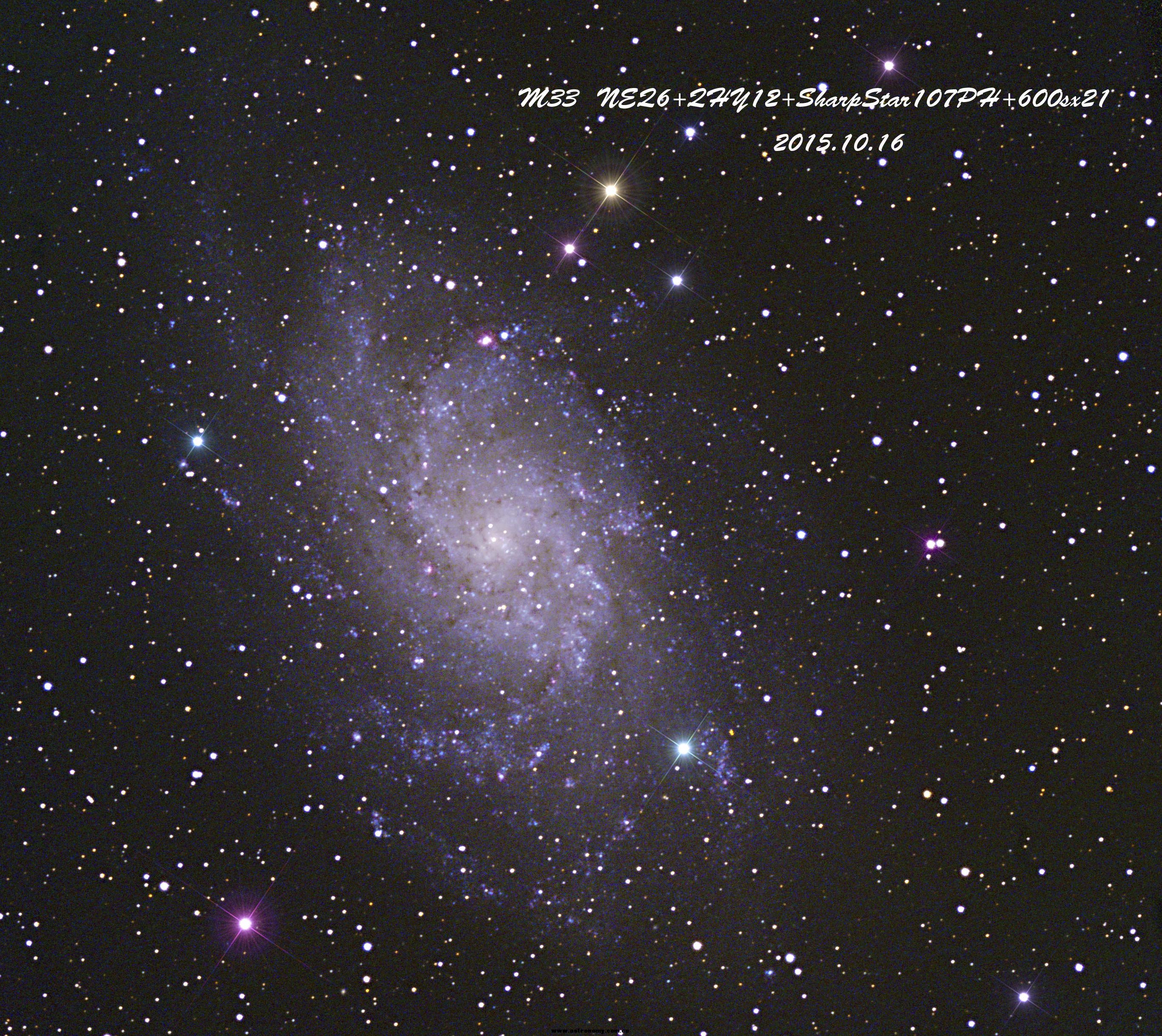 m3341.jpg