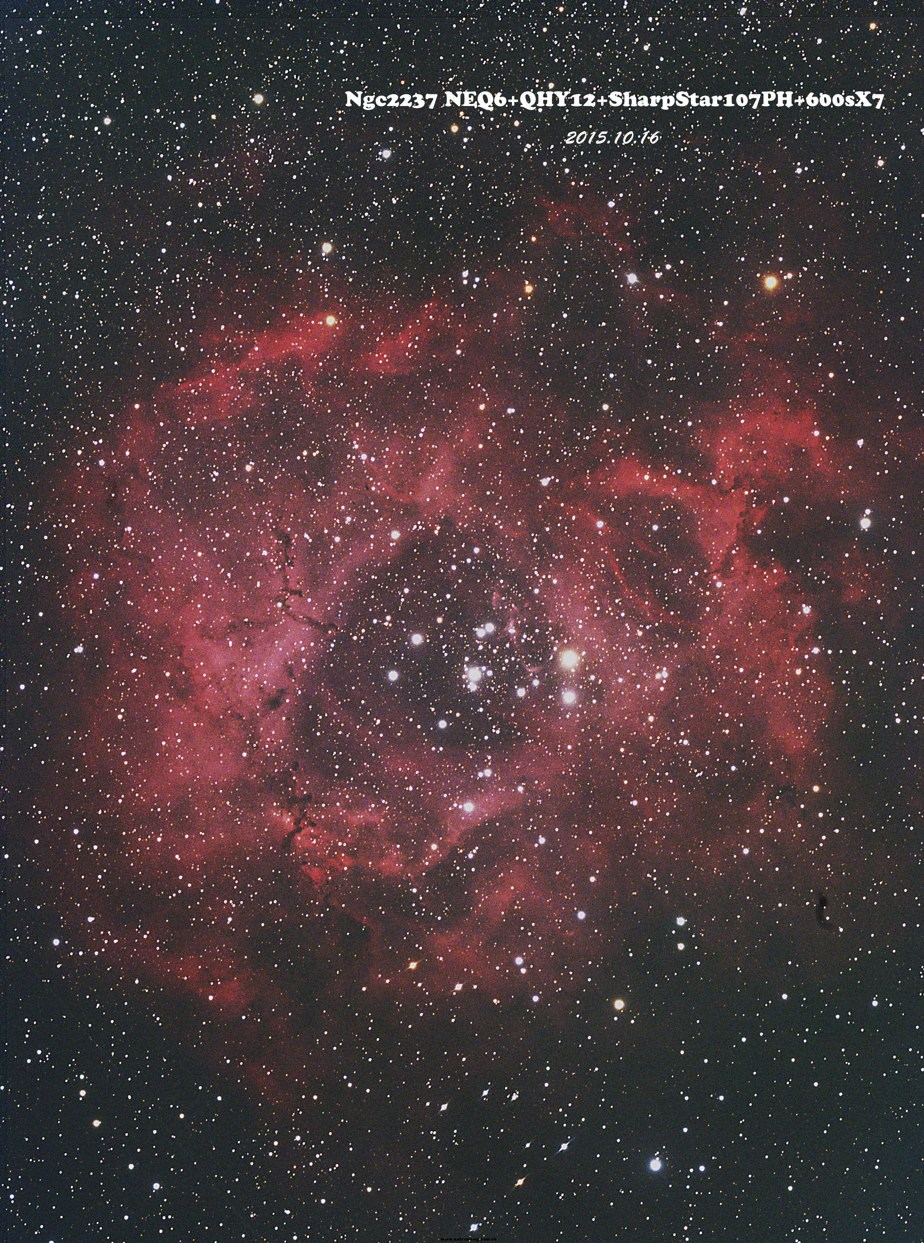 ngc2237.jpg