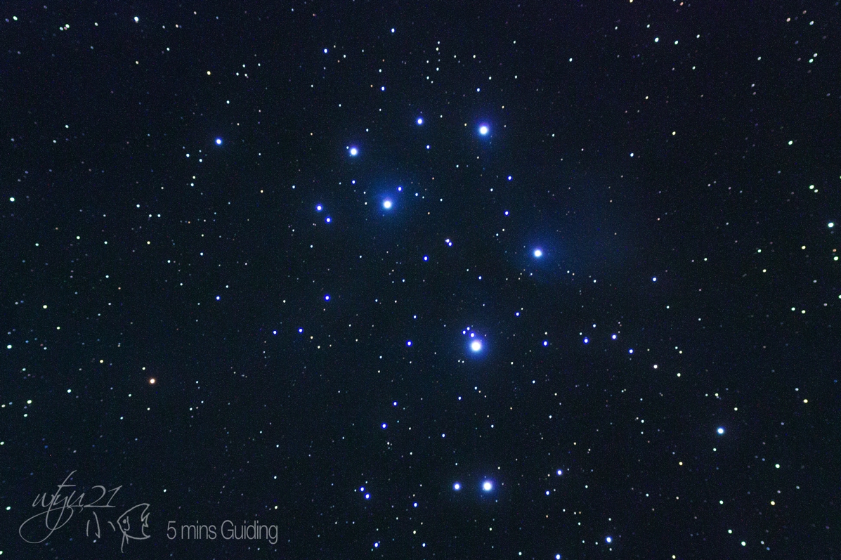 M45～5分鐘試導結果