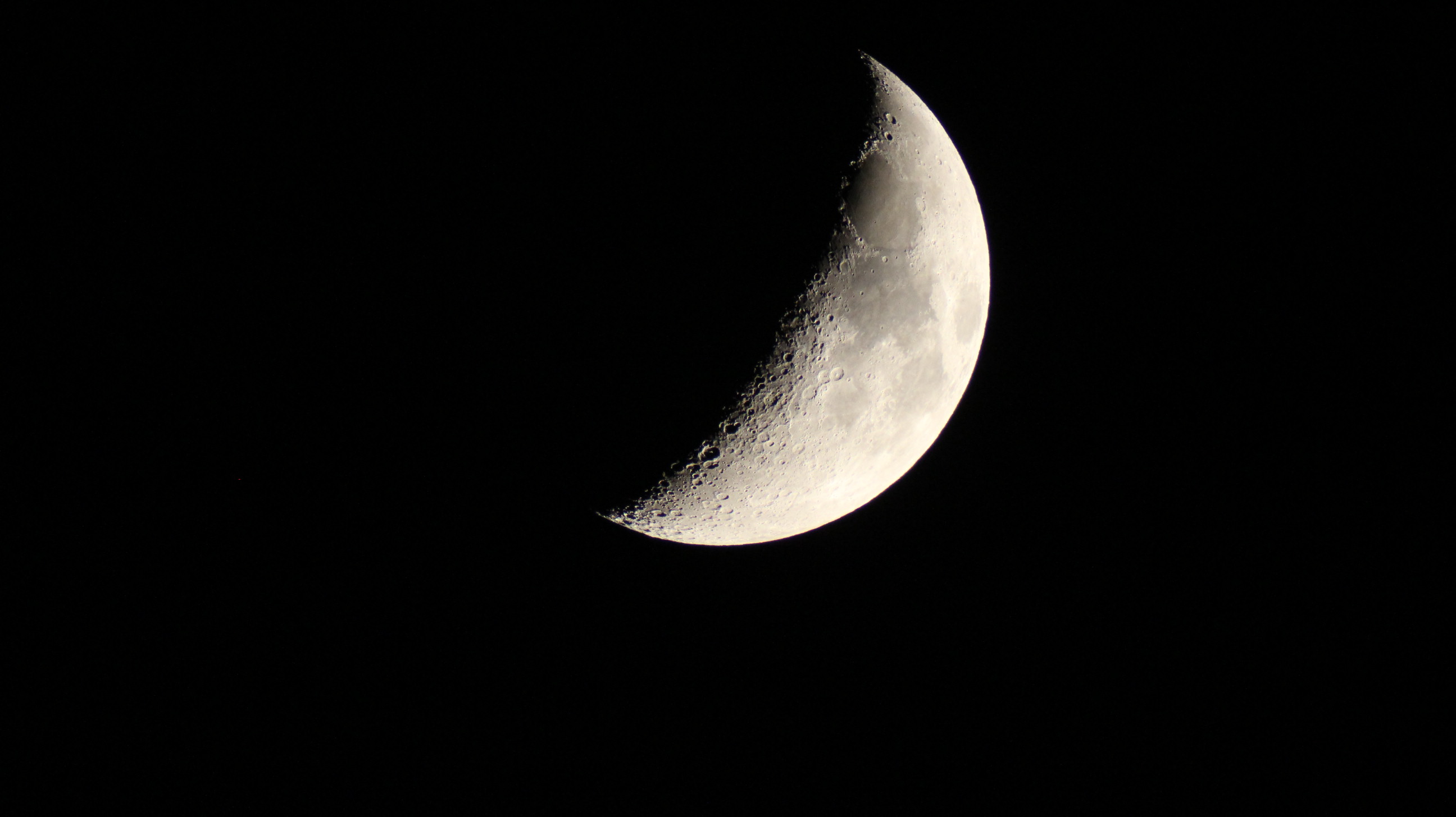 IMG_1458.JPG