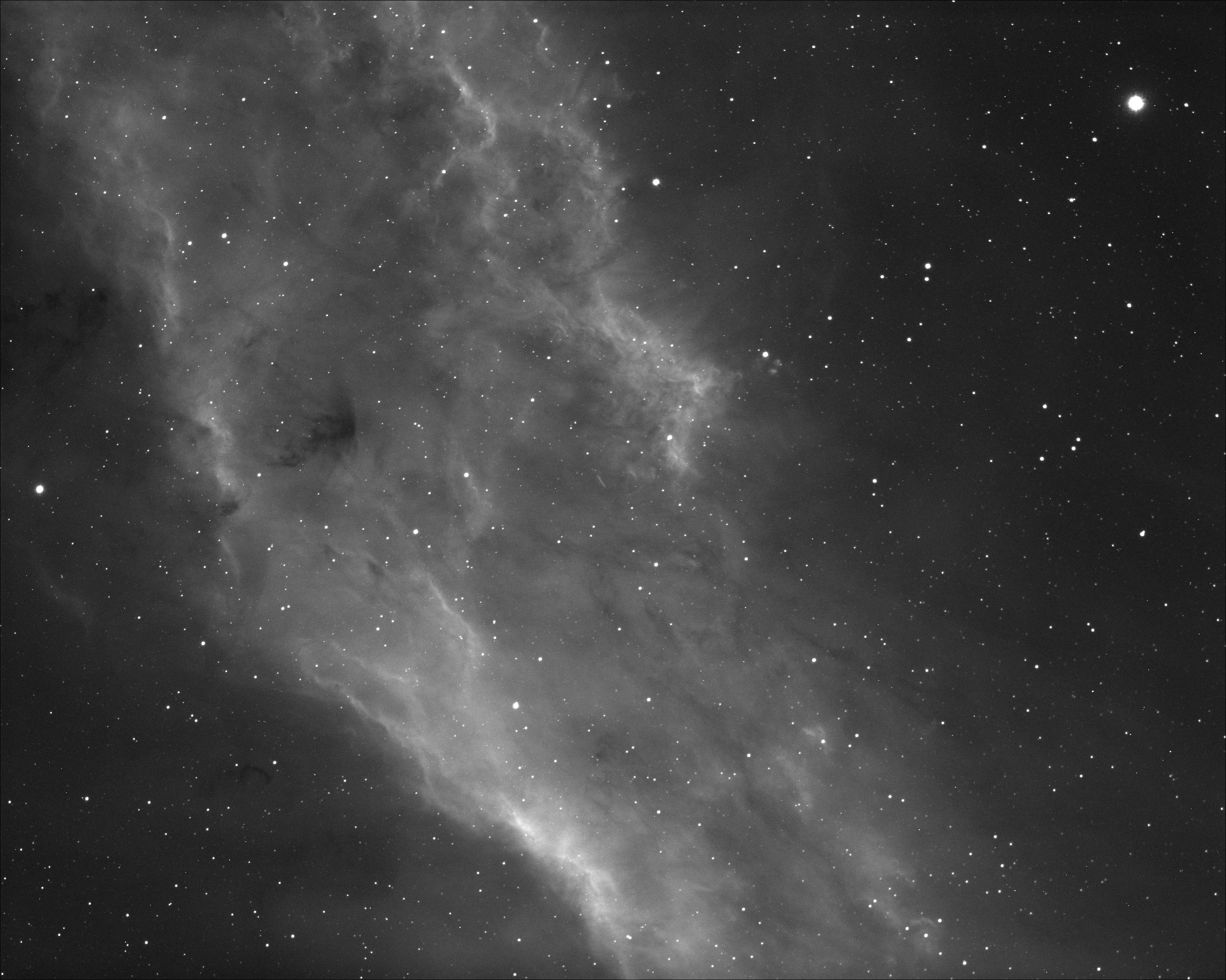 NGC1499withoutdark.jpg