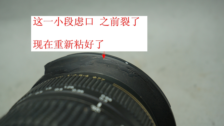 DSC05978.JPG