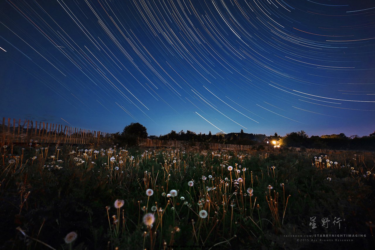 20150806_Tim_Dandelion_startrailR.jpg