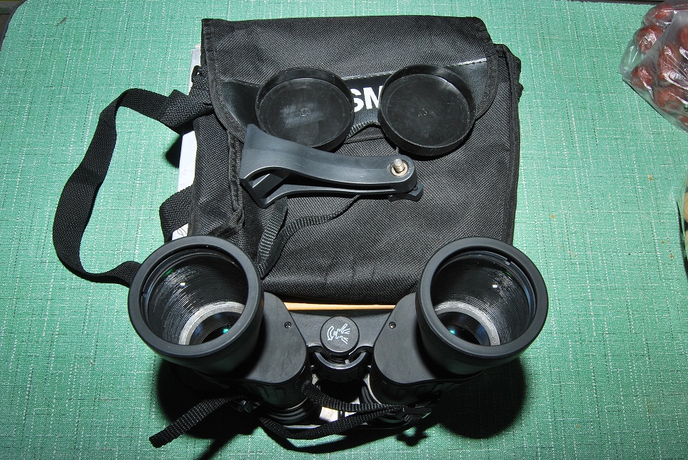 DSC_6573.JPG
