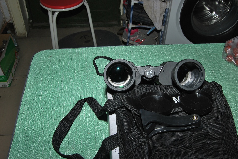 DSC_6574.JPG