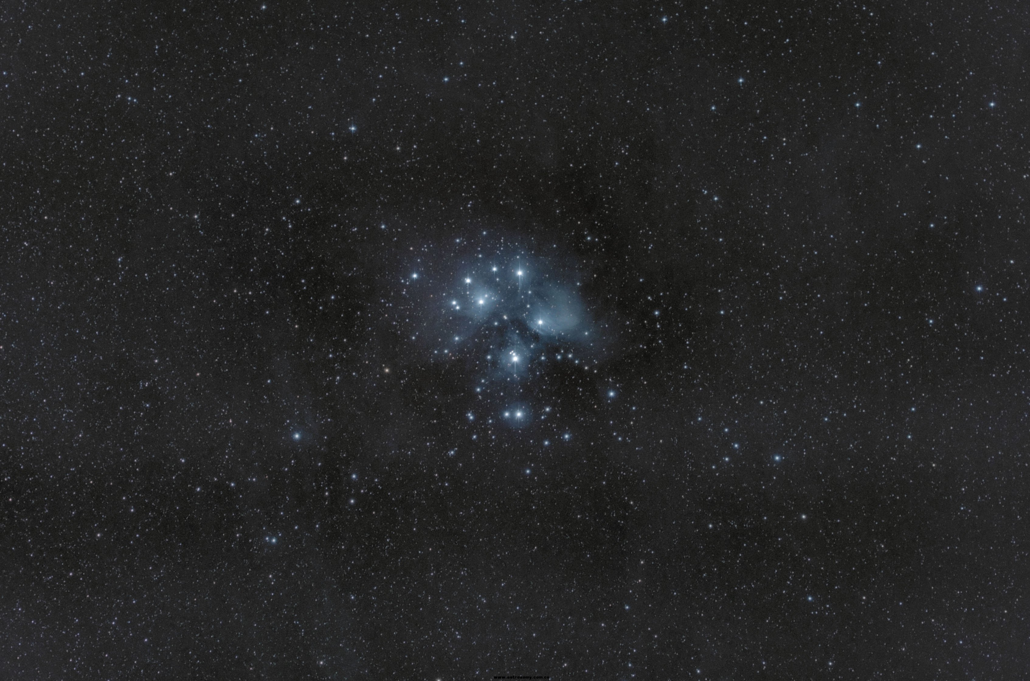M45 1.jpg