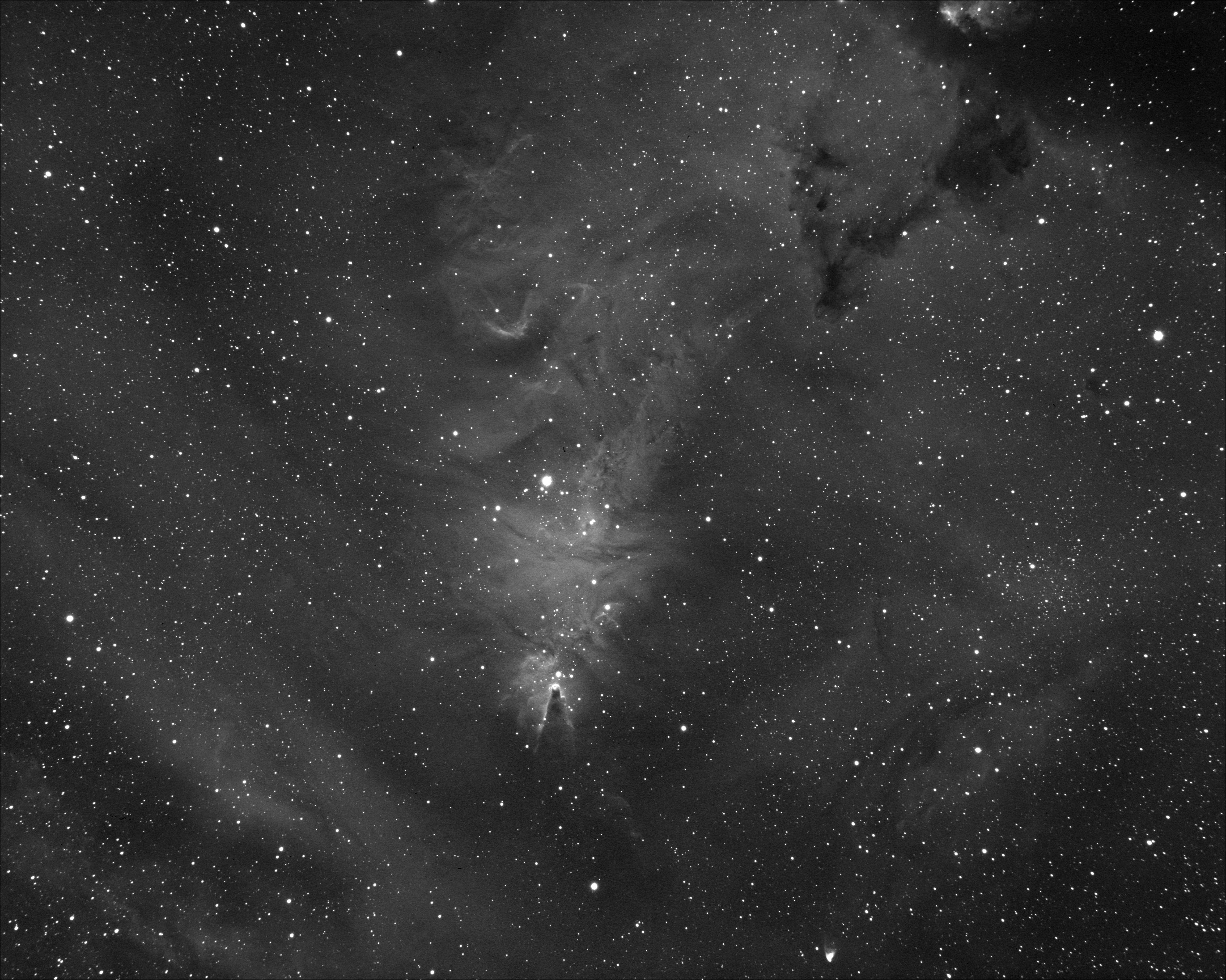 NGC2264-QJ.jpg