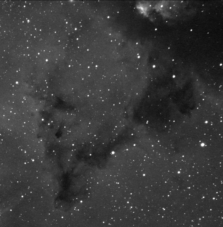 NGC2264YS.jpg