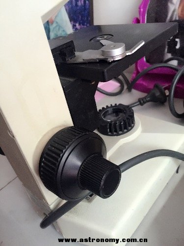 image.jpeg