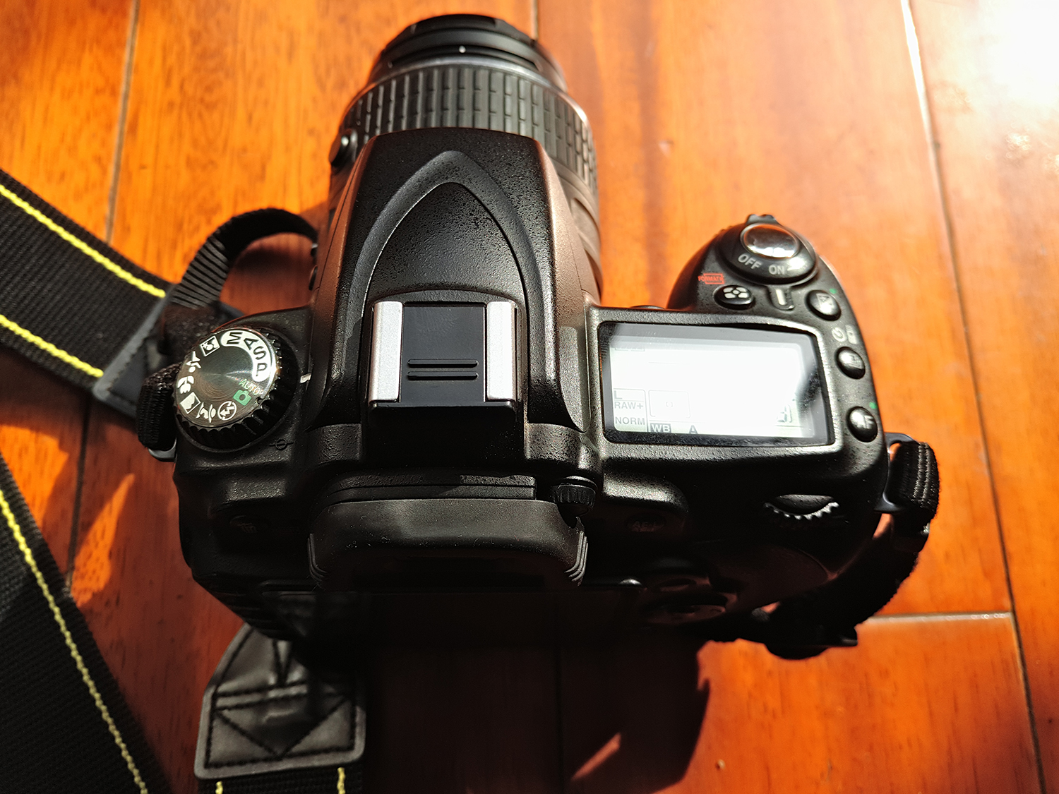 P51204-124210.jpg