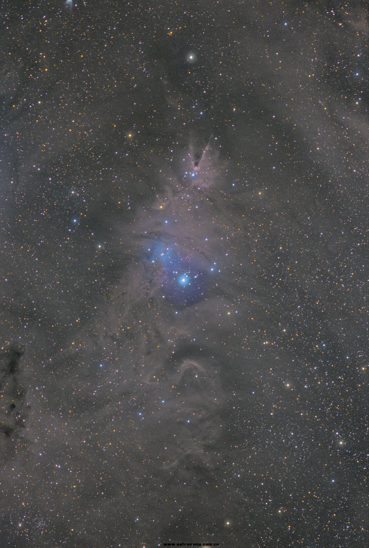 ngc2264f.jpg