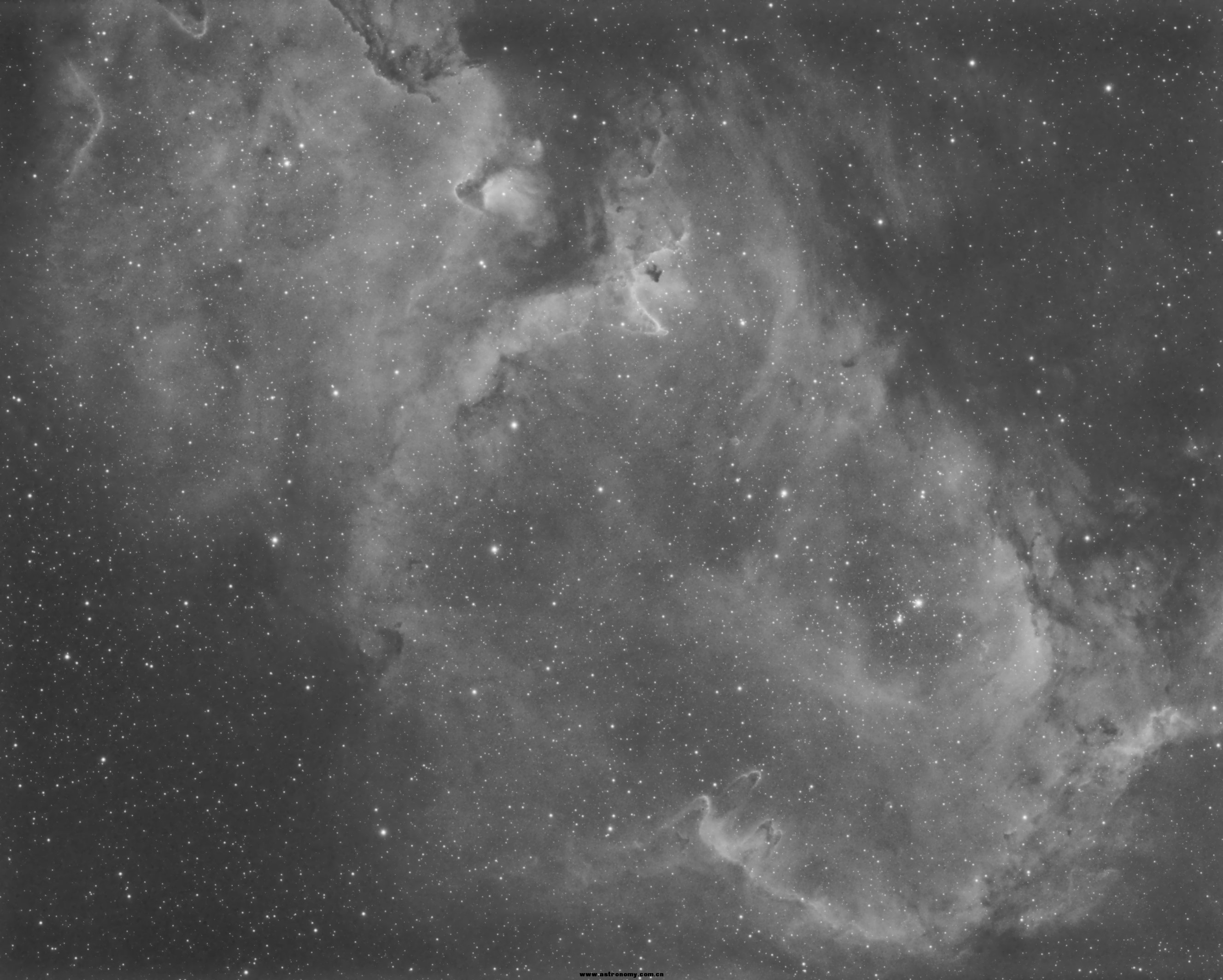 ic1848-1(1).jpg
