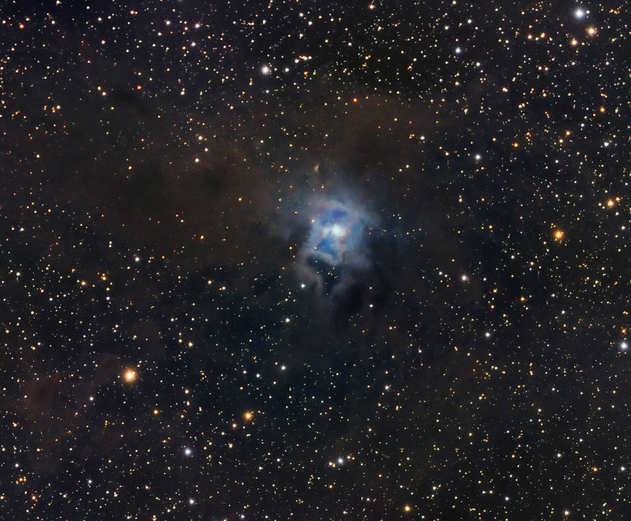 ngc7023鸢尾花星云