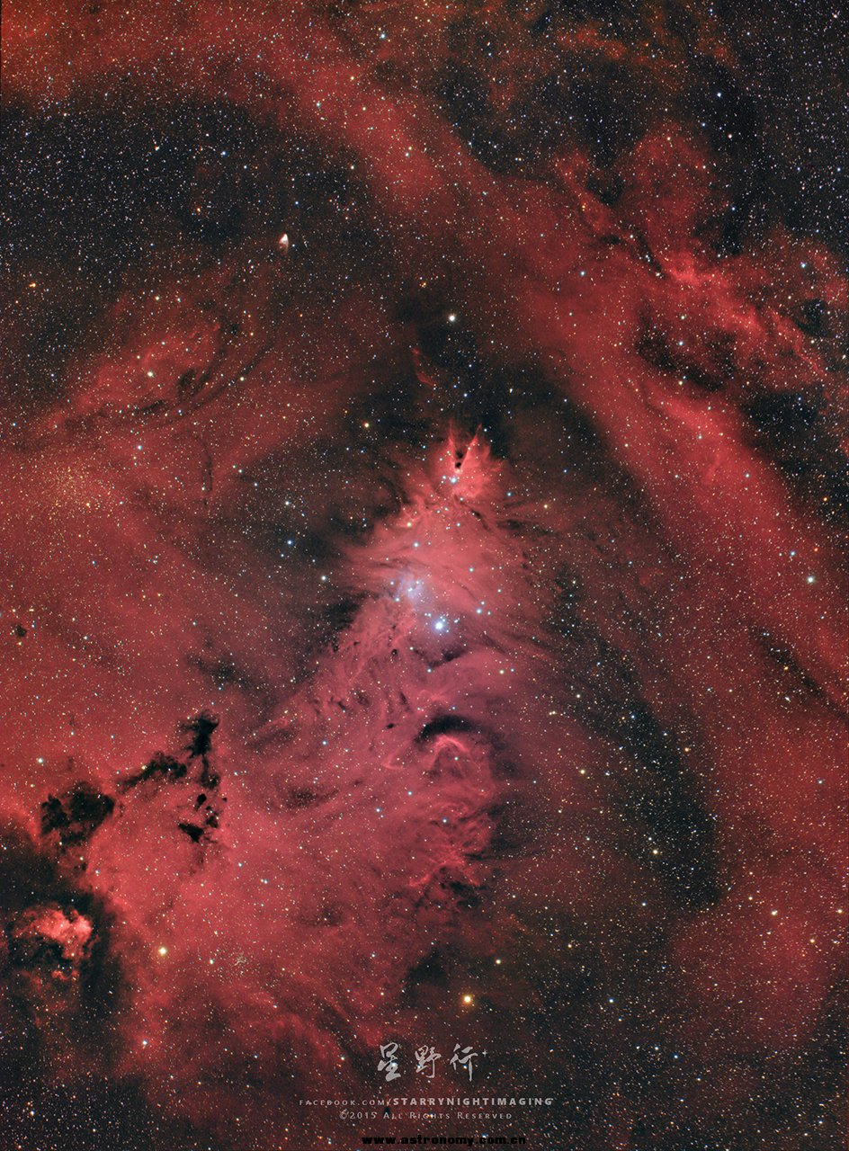 20151224_Tim_NGC2264R.jpg