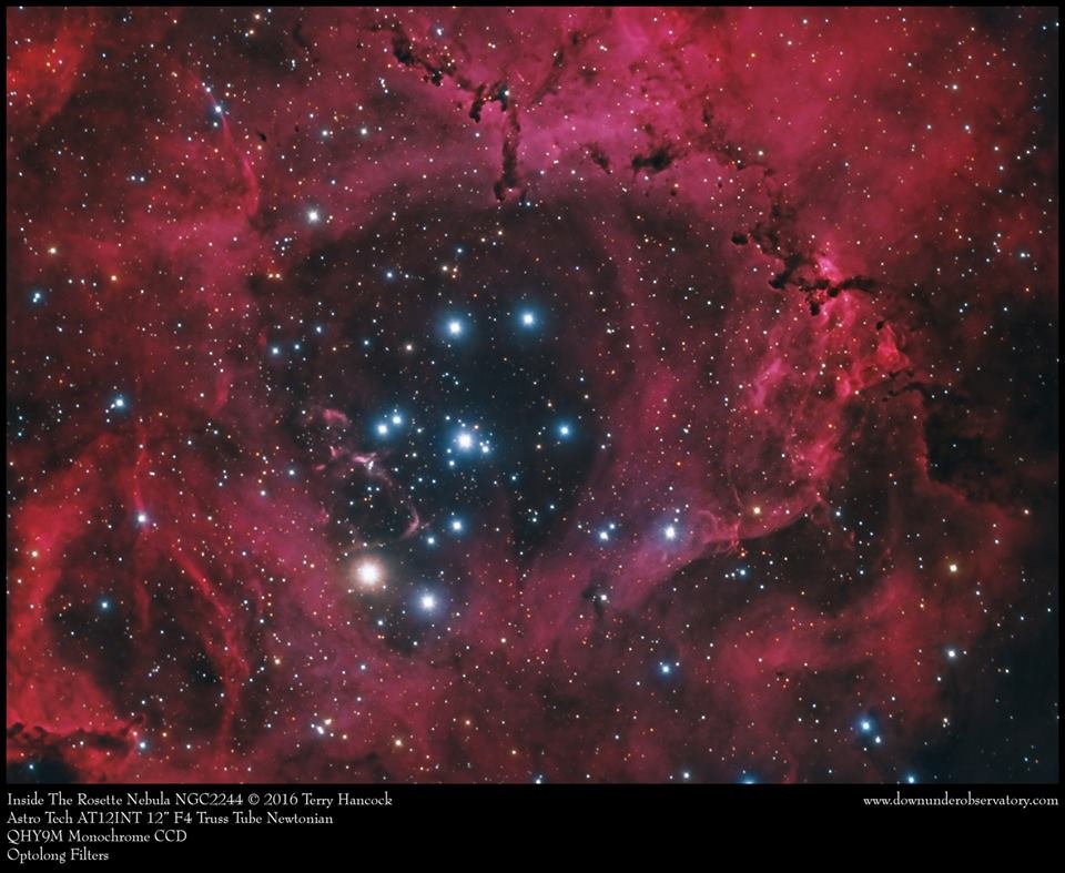 NGC2237 Terry.jpg