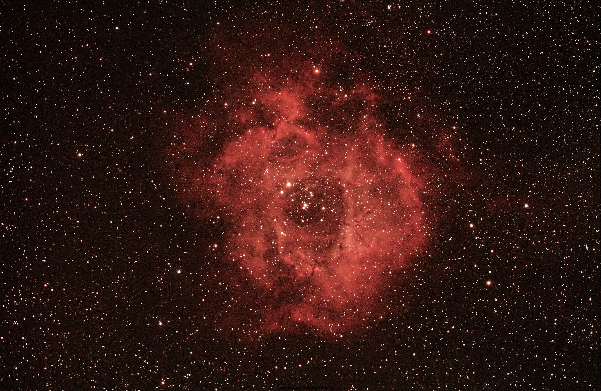 NGC2244 -.jpg