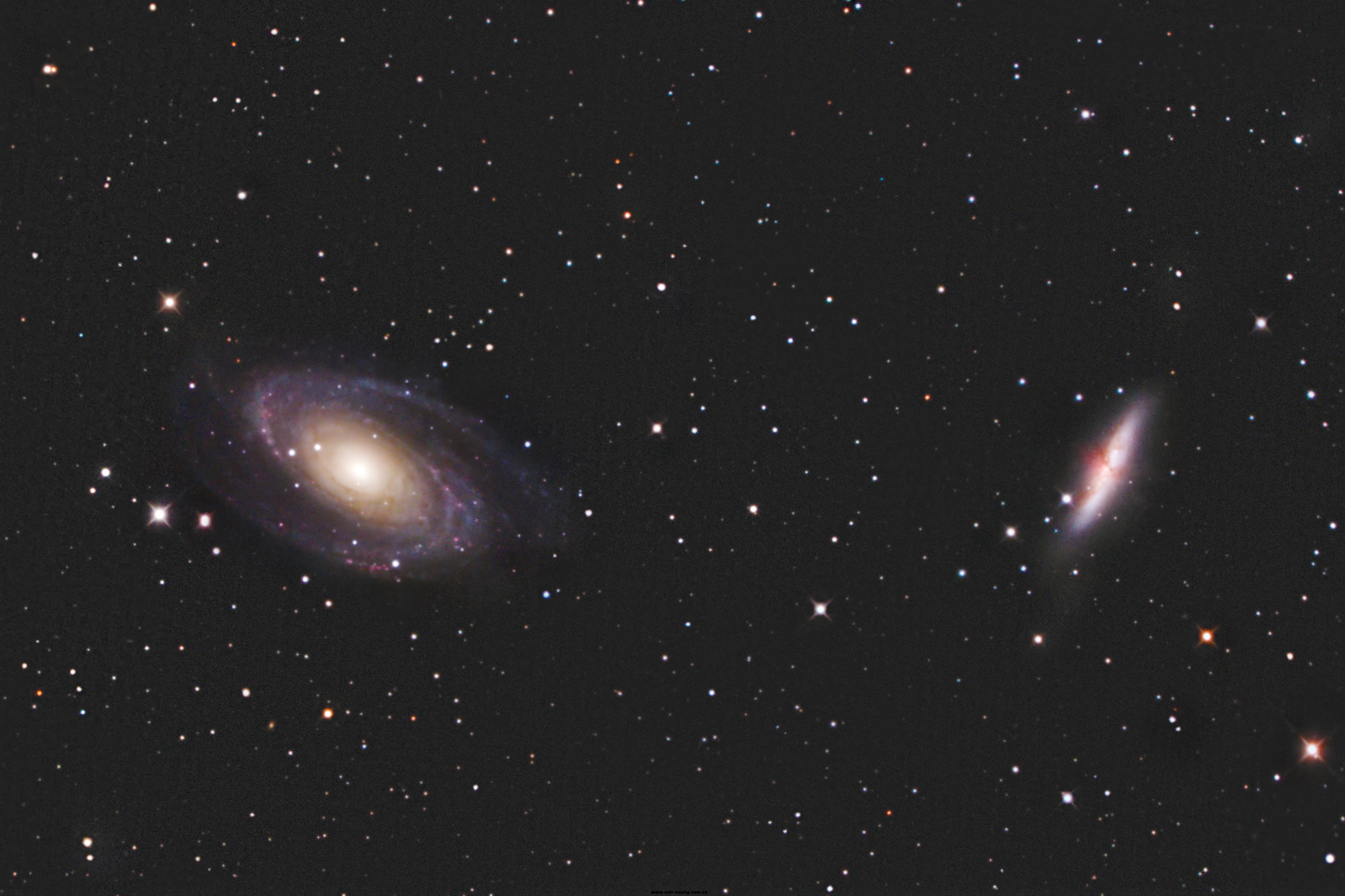 M8182_4.jpg