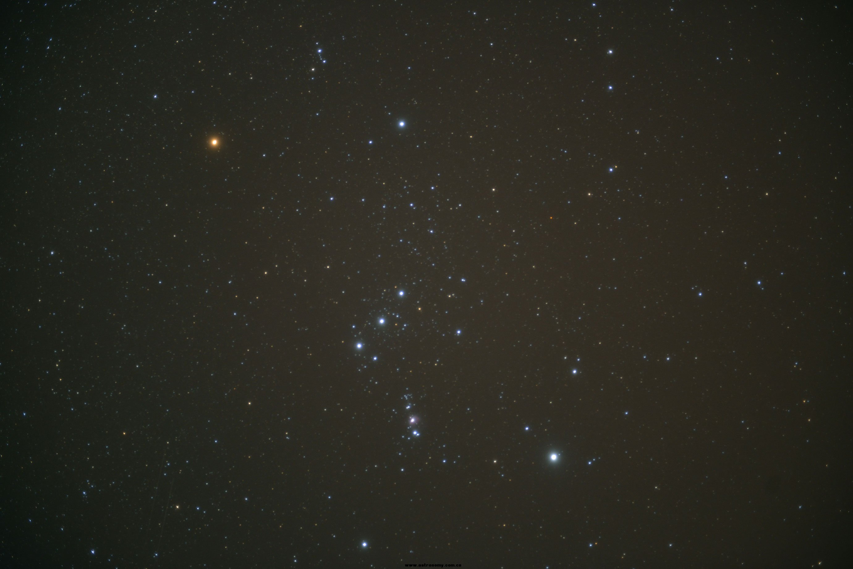DSC_0008色调处理.jpg