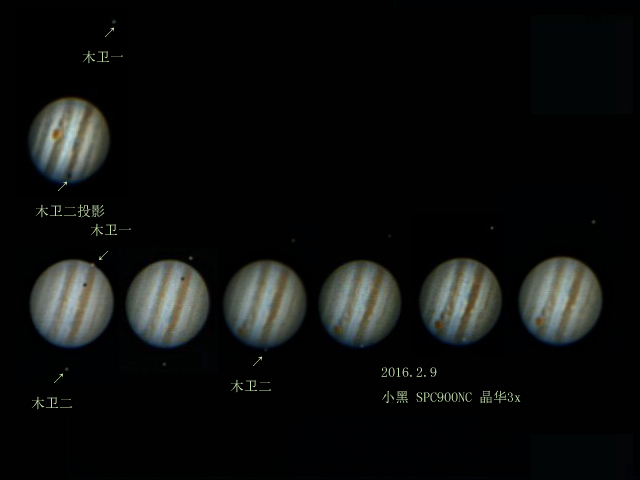 双卫凌木.jpg