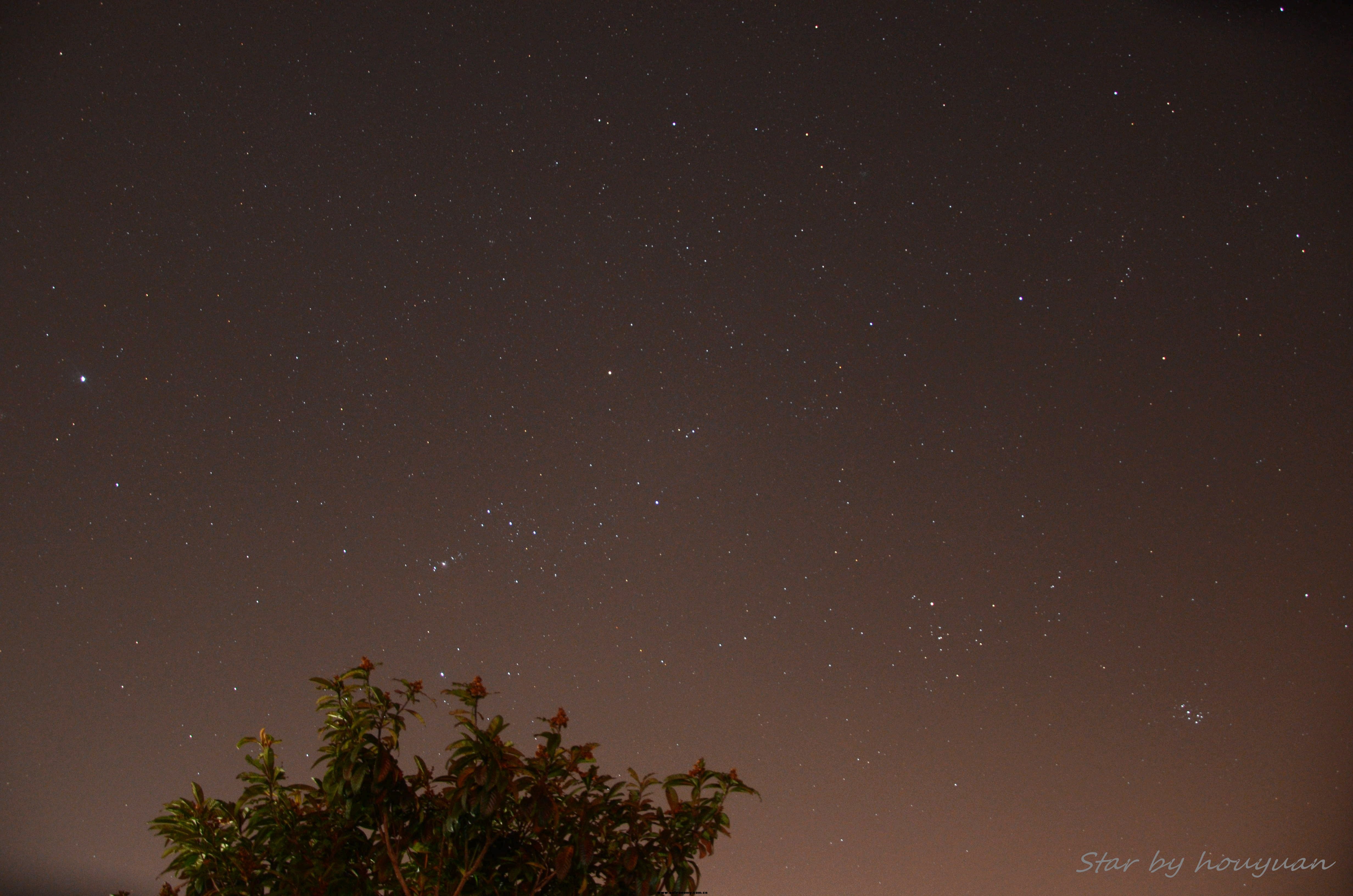 DSC_4095_副本.jpg