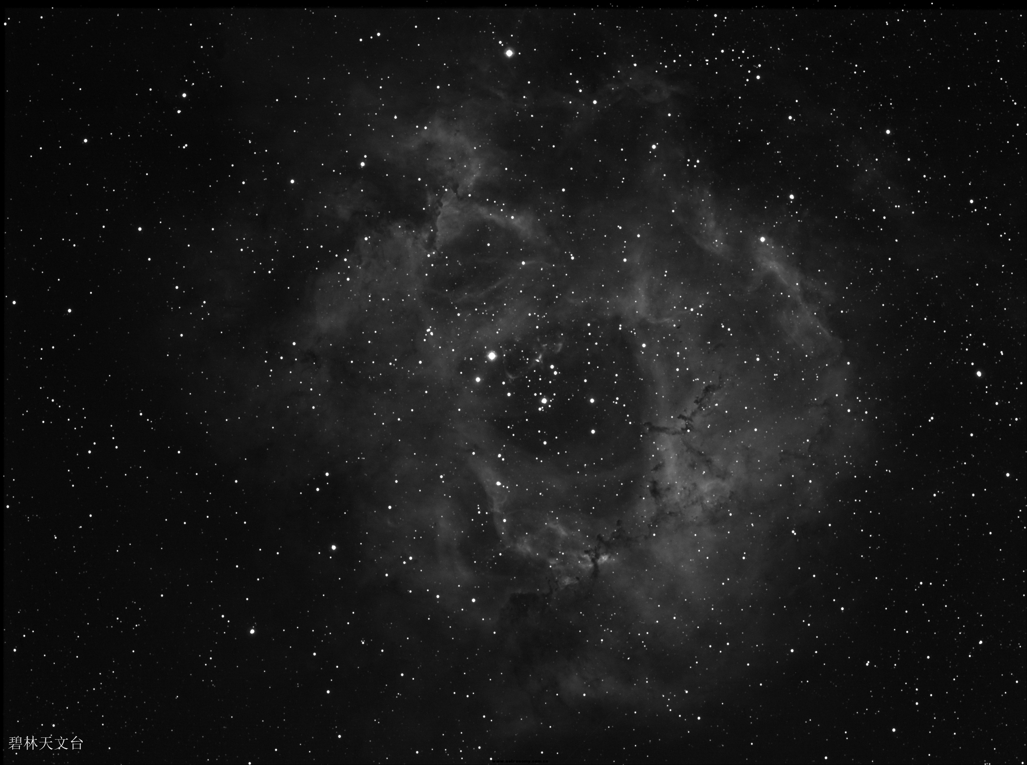 ngc2244-1.jpg
