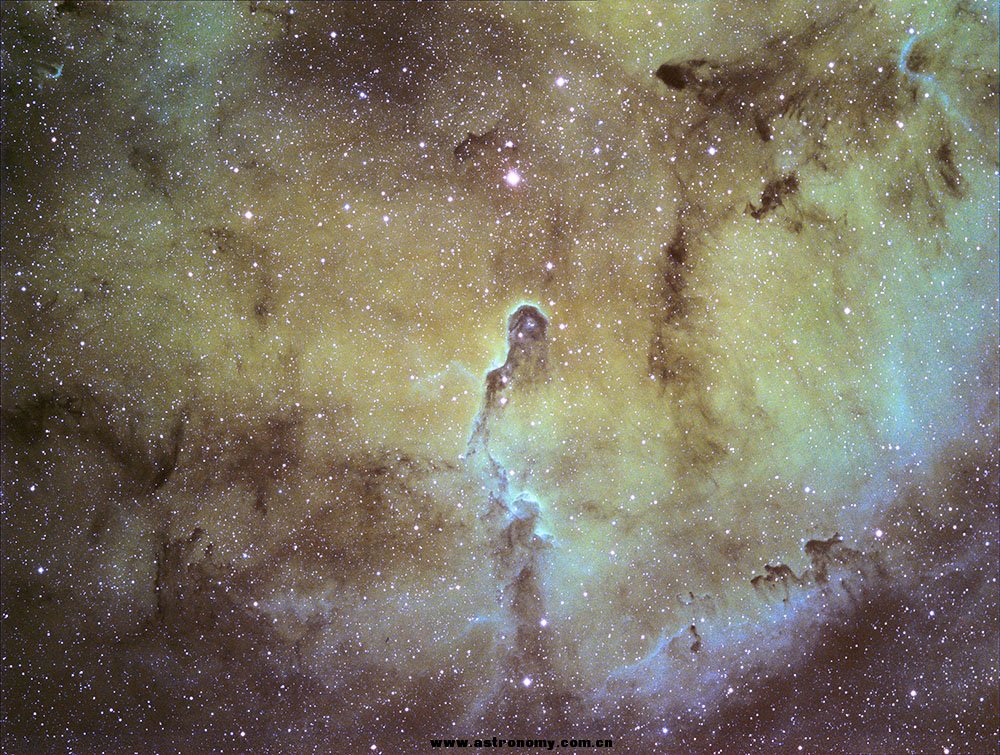 ic1396.jpg