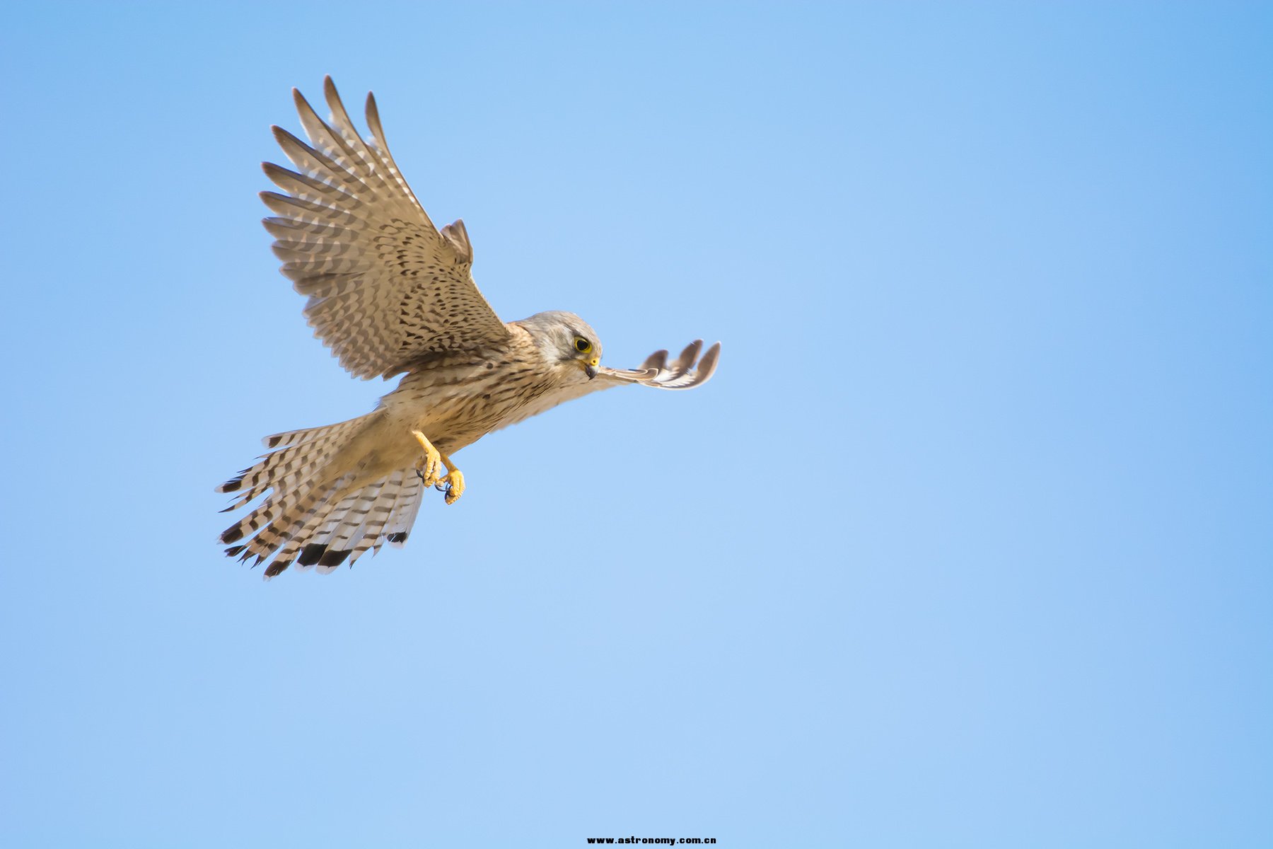 DSC_4840 副本.JPG
