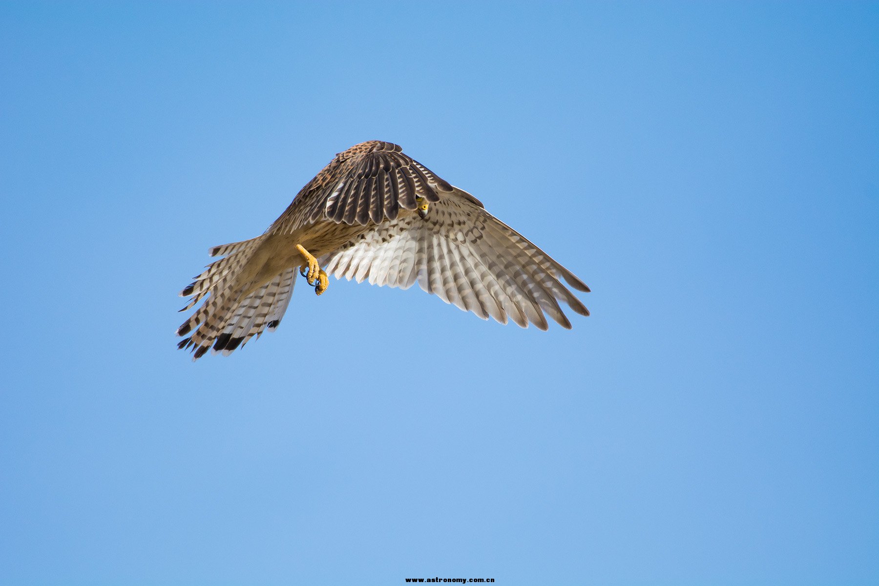 DSC_4841 副本.jpg