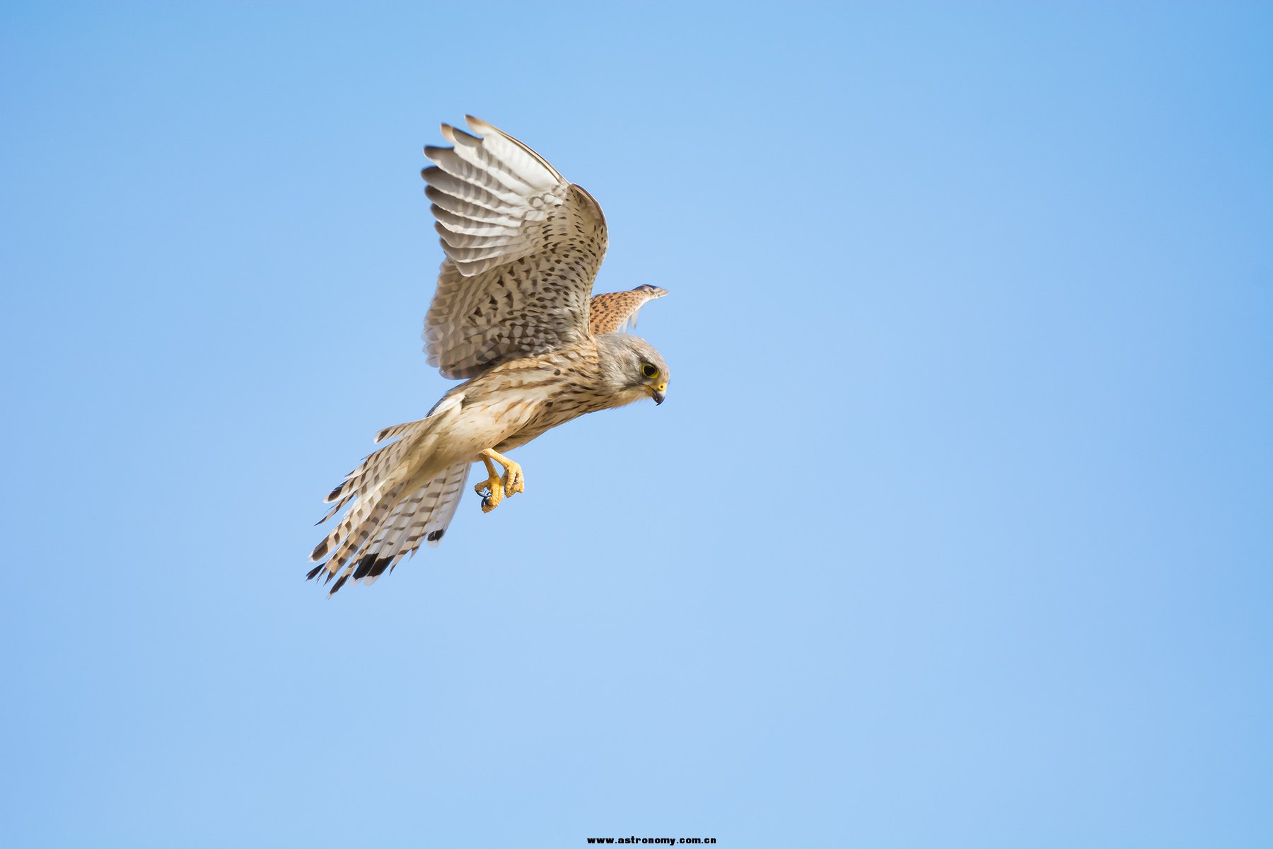 DSC_4844 副本.jpg