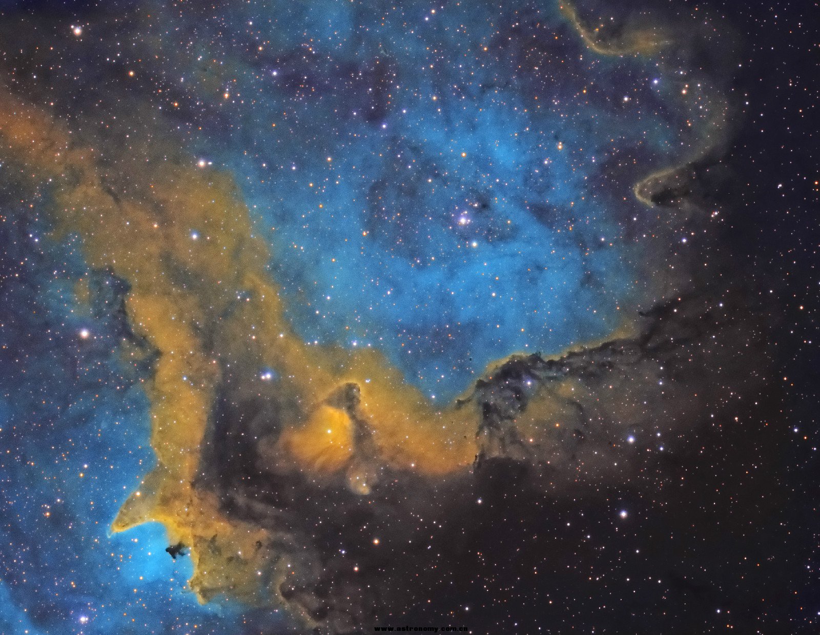 IC1848-1.jpg