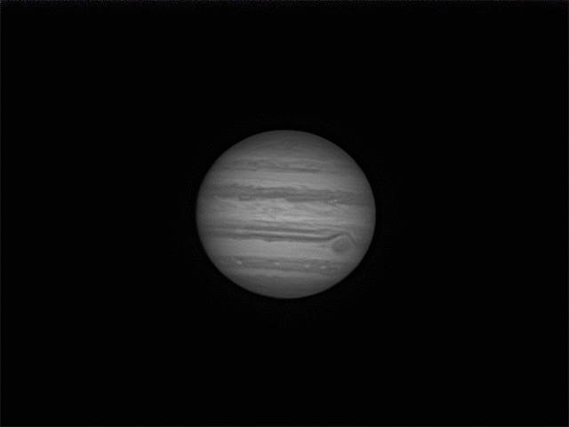 229.gif