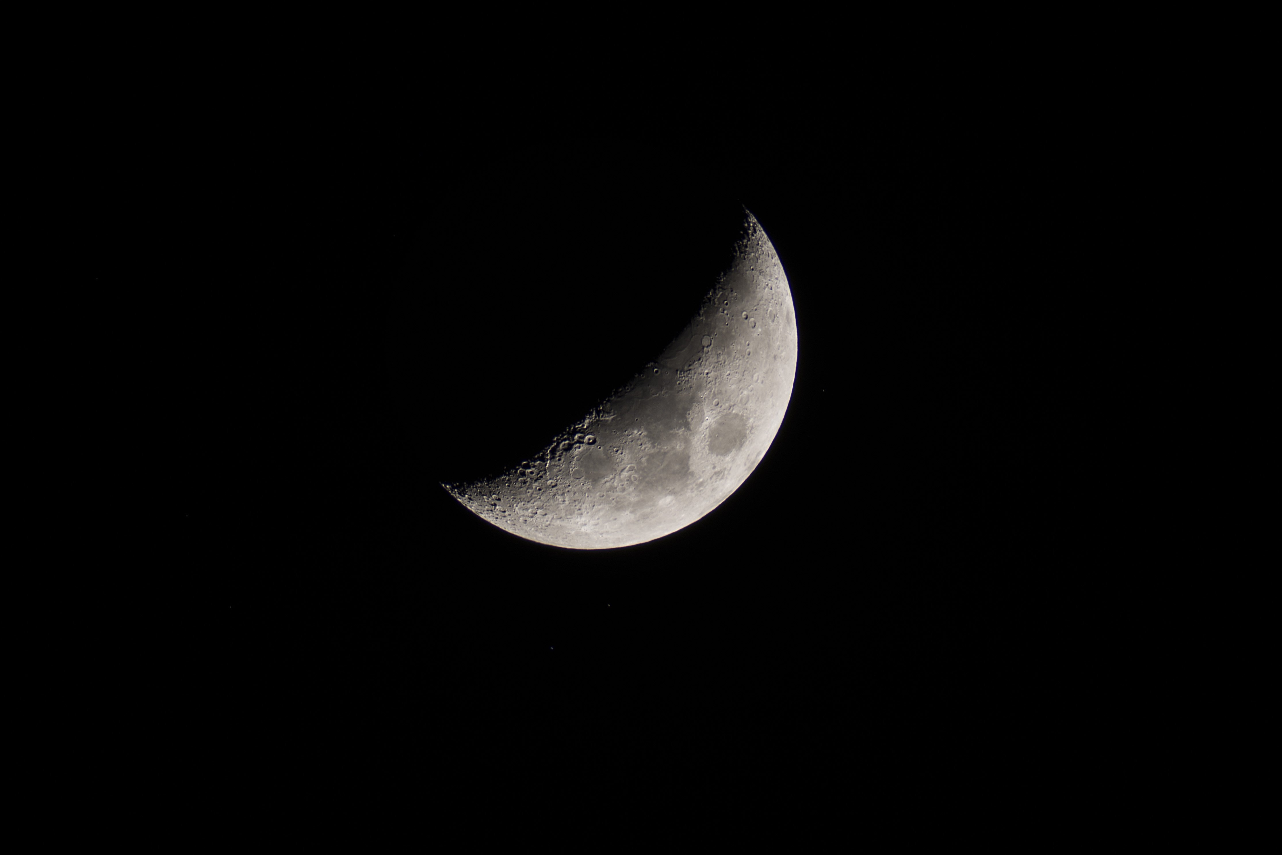 DSC_2064aa.jpg