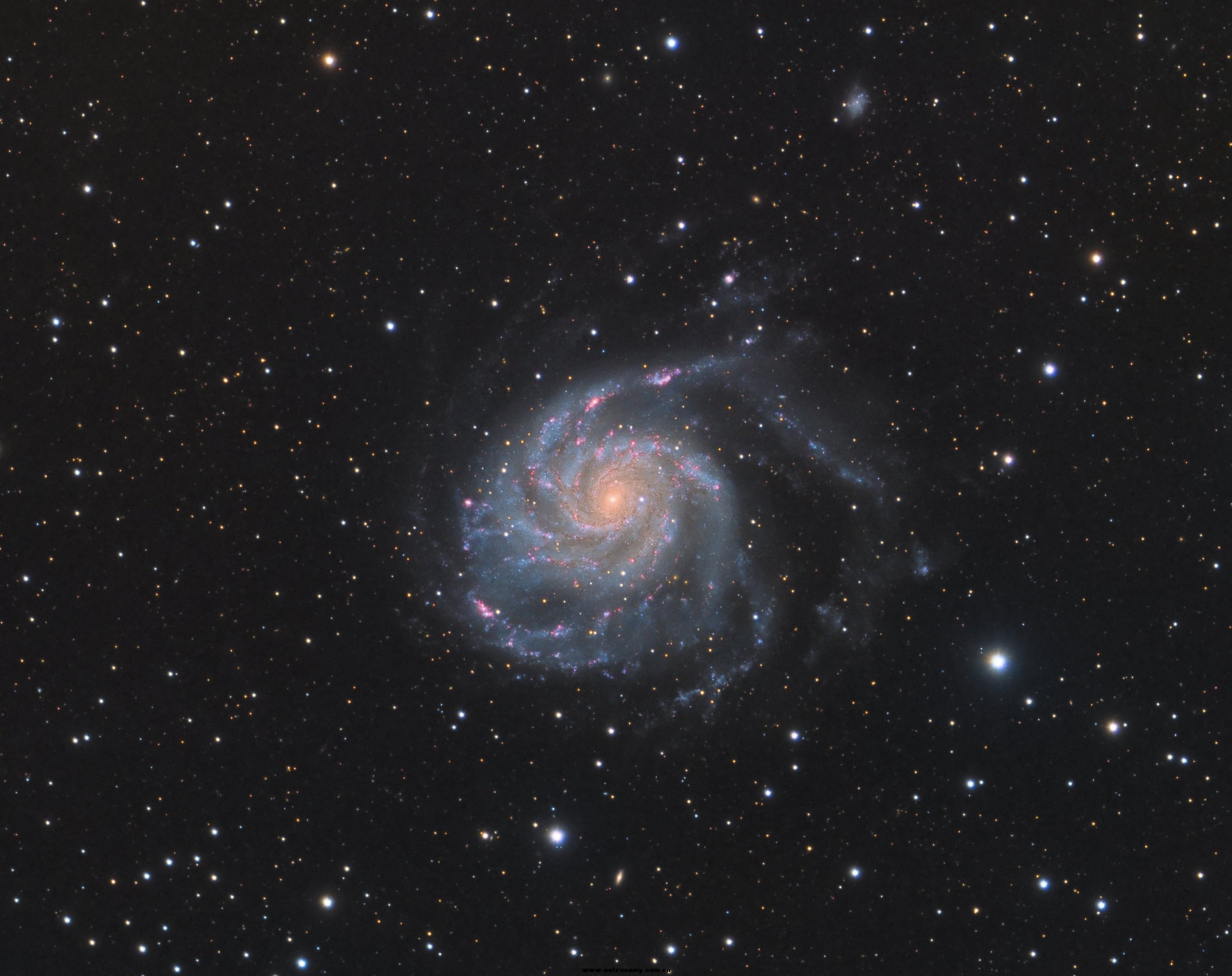 M101-3.jpg