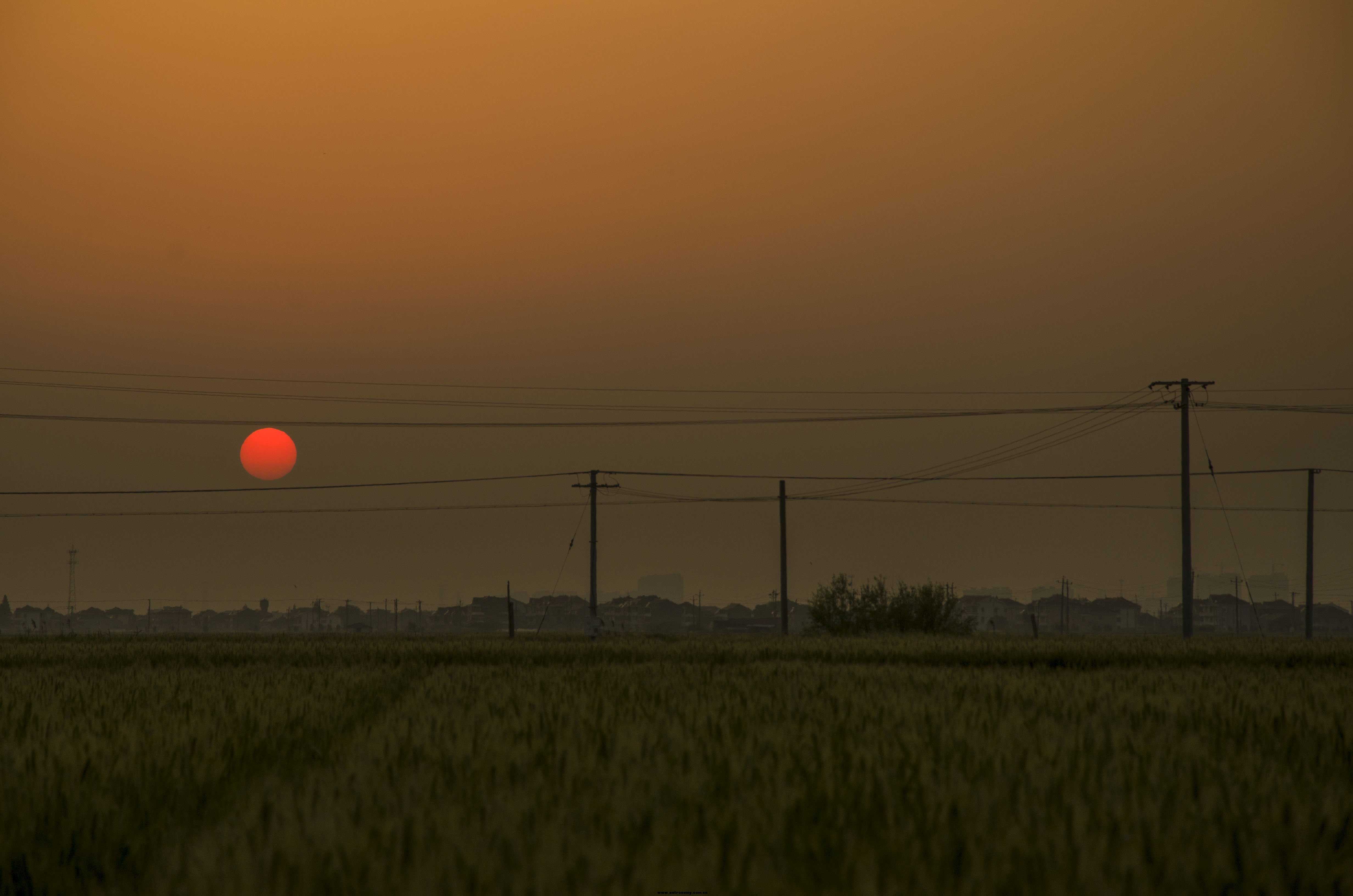 DSC_4483.jpg
