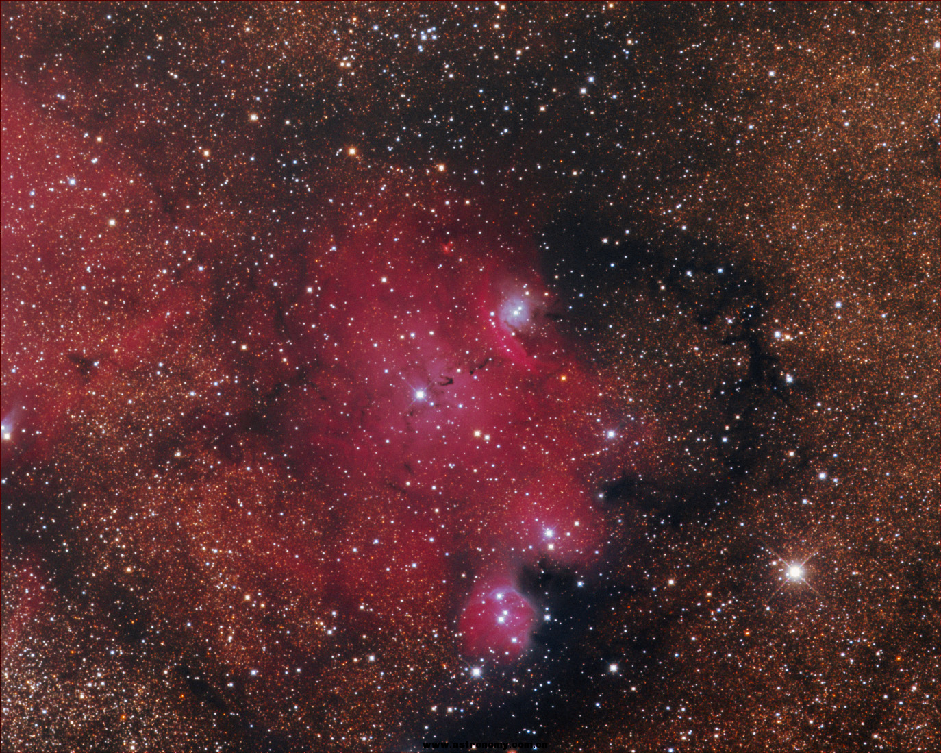 IC4685.png